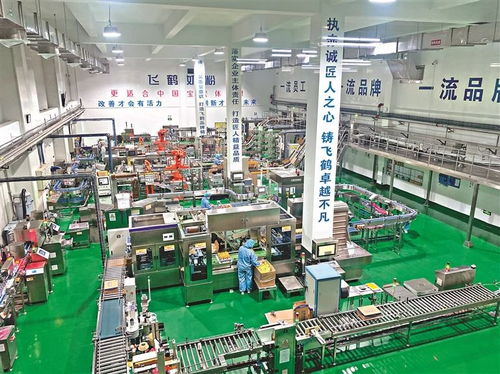 龍江縣 建鏈強鏈跑出產業發展加速度