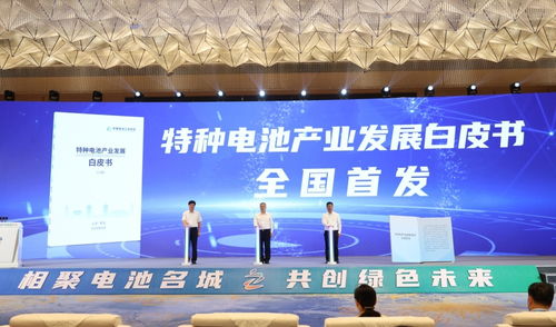 2024新能源電池產業發展大會開幕