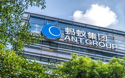 螞蟻集團(tuán)新公司獲批開業(yè),未來6個(gè)月,花唄 借唄要變