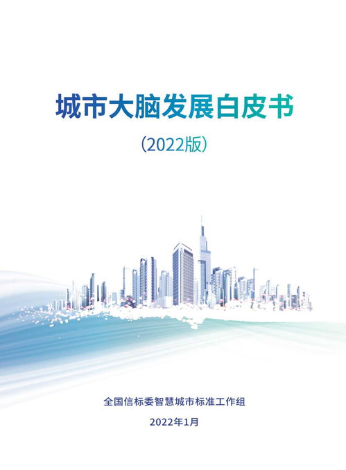 城市大腦發(fā)展白皮書 2022