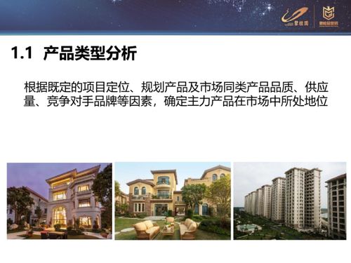 碧桂園圈層營銷實施與組織方案